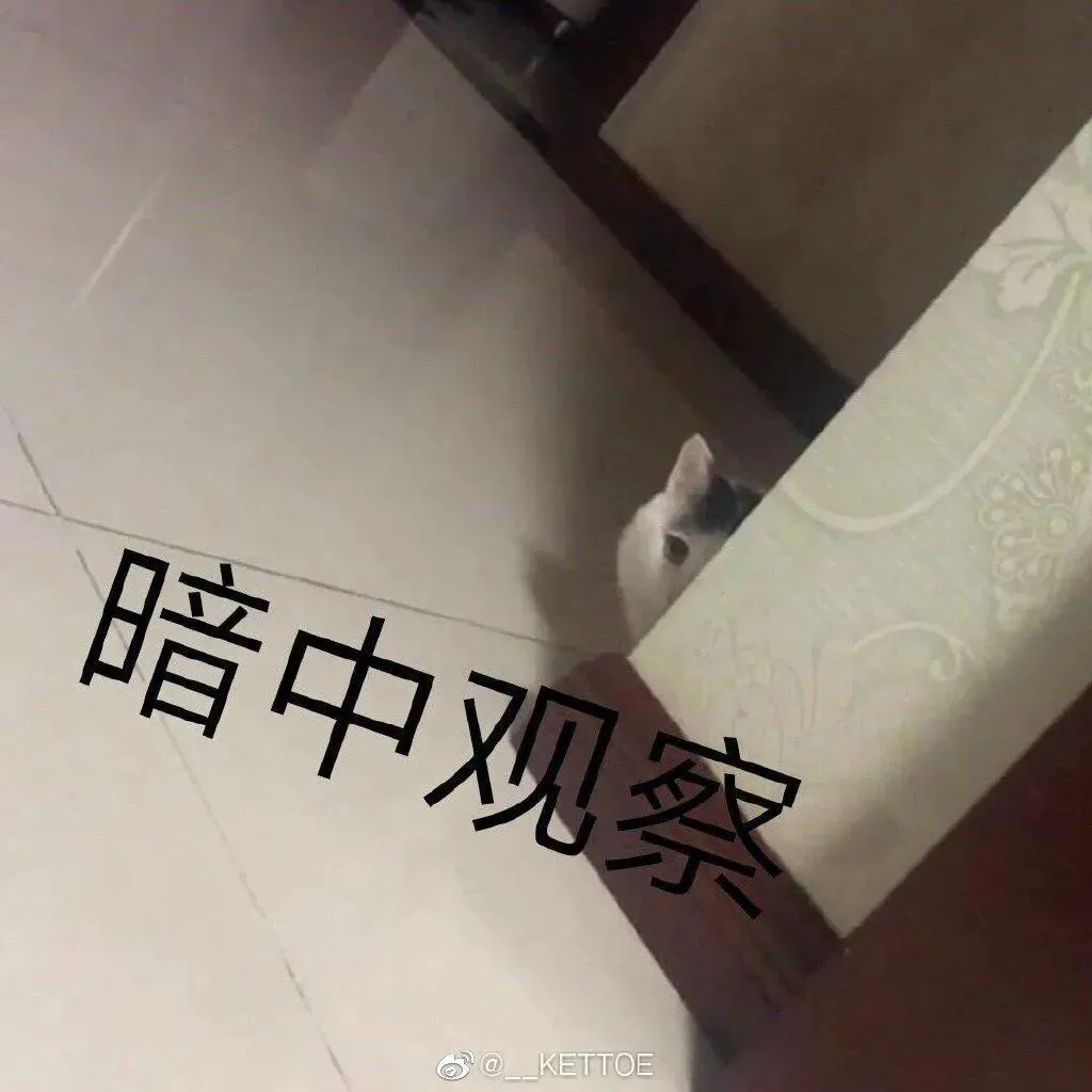 Kettoe – NO.01 微博配图[5] [71P]插图7